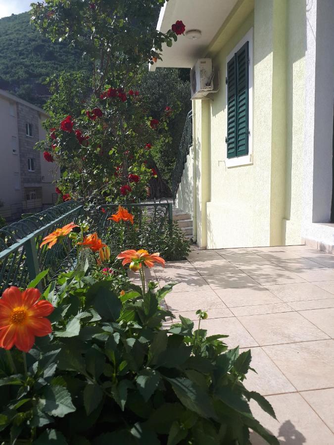 Apartments Simo Petrovac Exterior photo