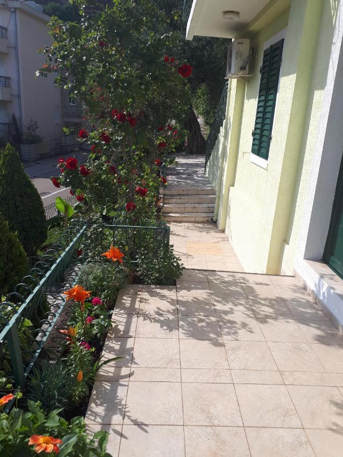 Apartments Simo Petrovac Exterior photo